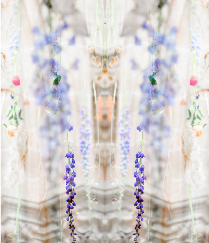 hängende Blüten in der St. Pauls Kirche in München gespiegelt