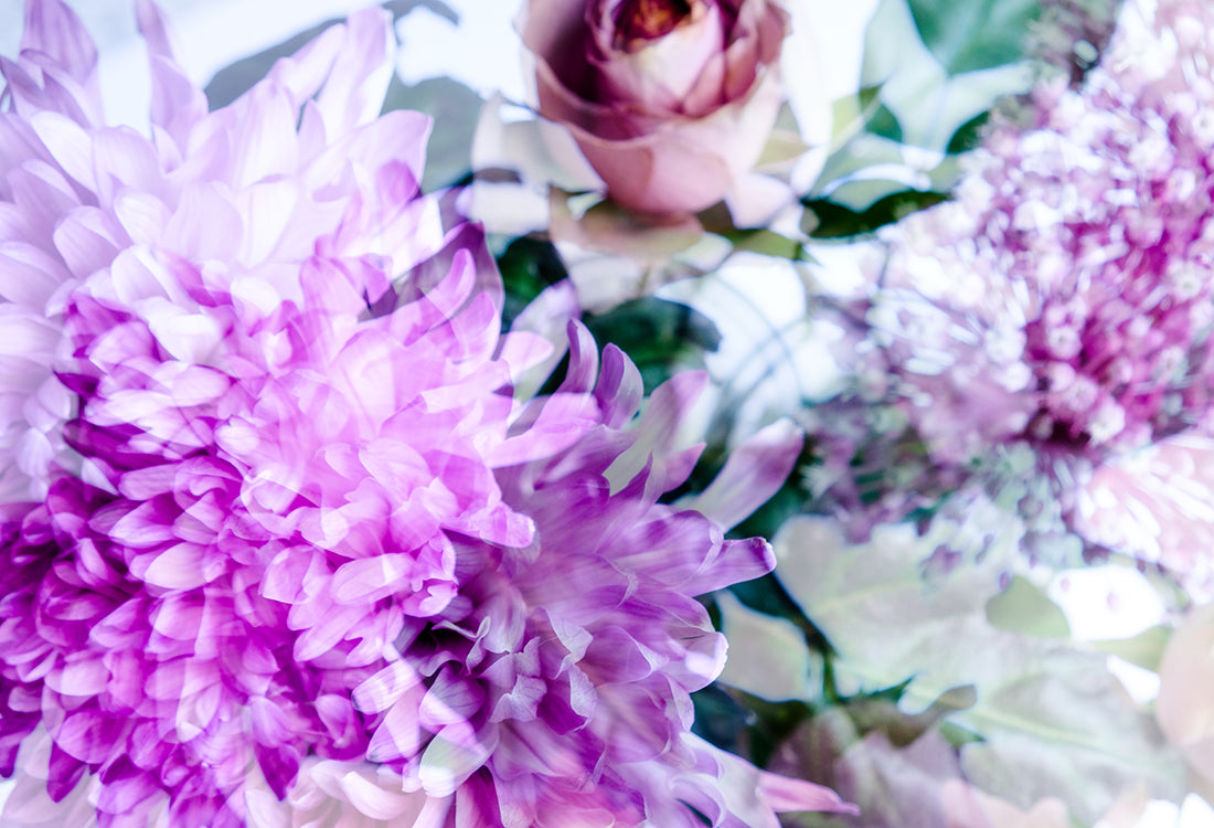 Lebendiger Blumendruck auf transparentem Voile in der Farbe Very Perie mit Dahlien und Rosen