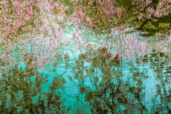 Fine Art Print Japanischer Garten Kirschblüte in Blau Rosa Grün