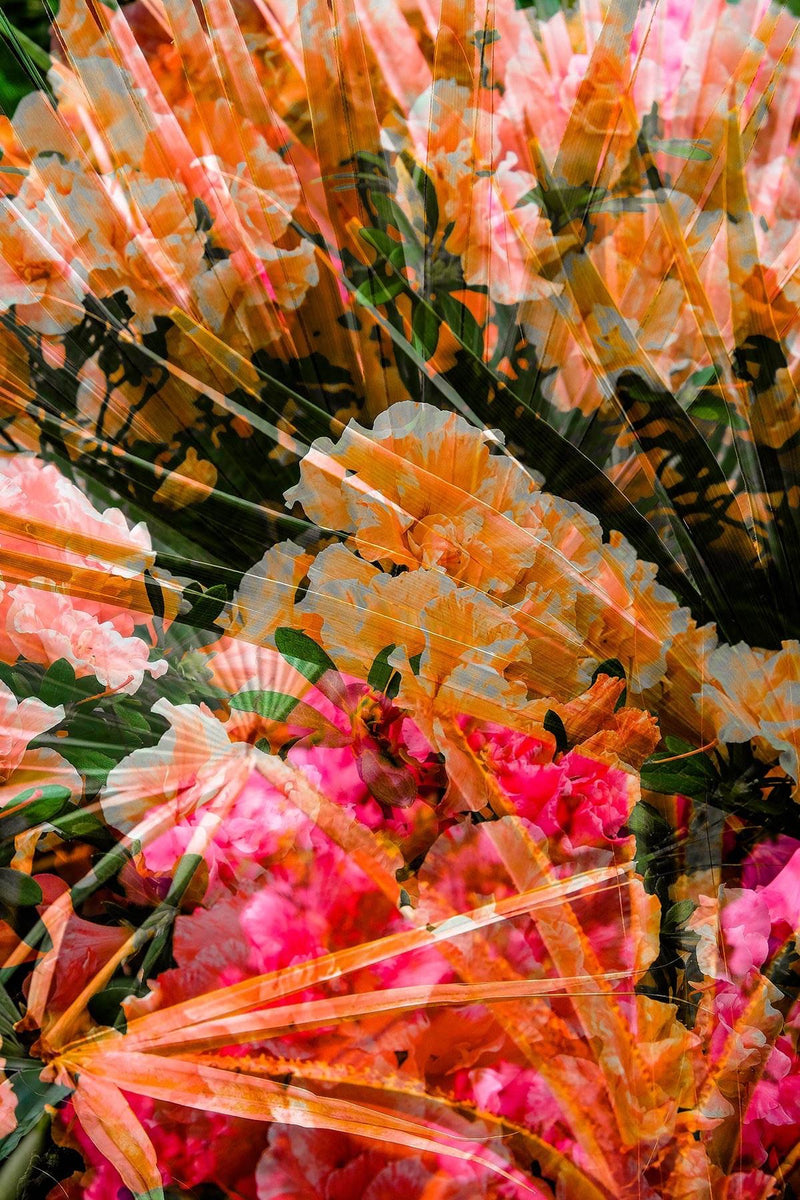 Fine Art Print Azalee Orange Pink Grün